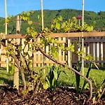 Ferienhaus Dasis Innerschwand